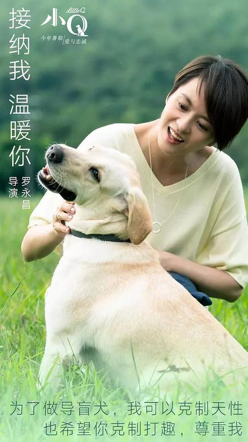 办理从业资格证